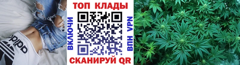 Наркошоп купить Alpha-PVP  Меф  Галлюциногенные грибы  Конопля  Гашиш  АМФ  Советск