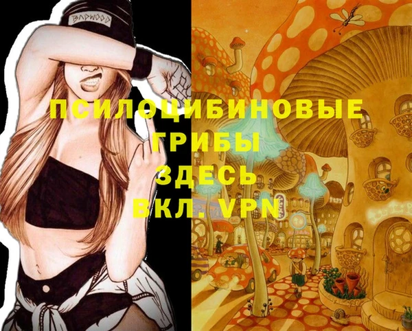 хмурый Алексеевка