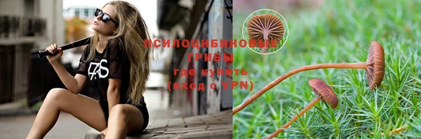 ешки Армянск
