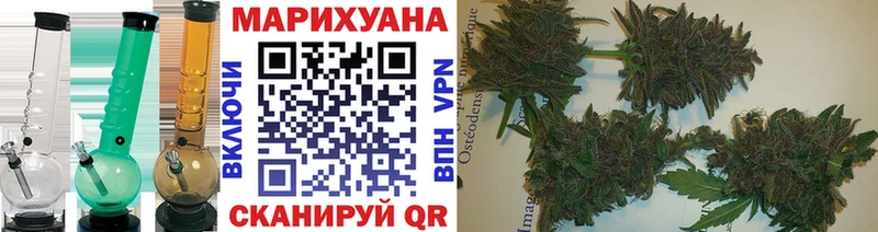 Купить где  Советск  Конопля ГИДРОПОН 